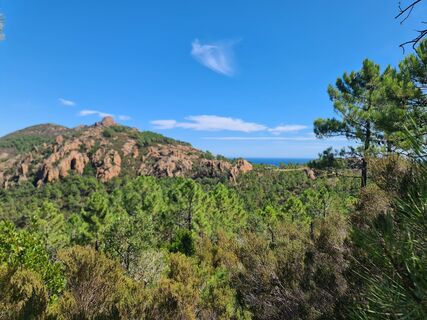 Foto de W B MA a lo largo del recorrido