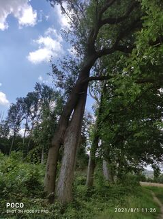 Foto von Edit Szoboszlay entlang der Tour