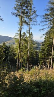 Foto von Christoph Sitter entlang der Tour