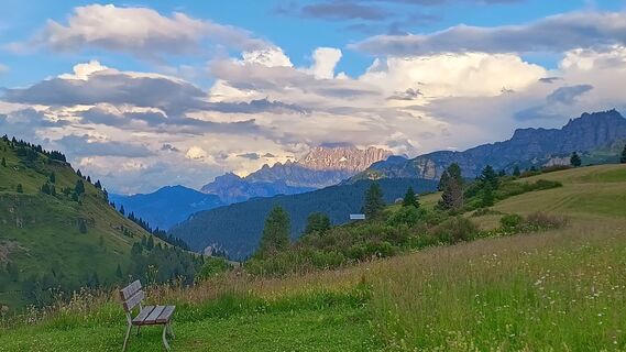 Fotografia z Baumi na trase