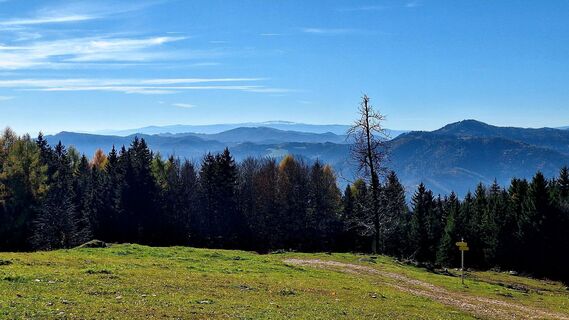 Fotografija s spletne strani Regina Fleischmann na poti