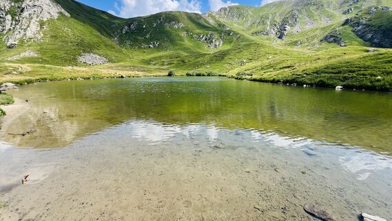 Fotografija s spletne strani Manolo Piccini na poti