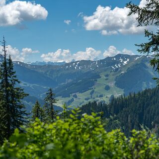 Ausblick vom Maisereck ins Glemmtal