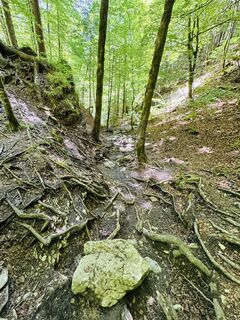 Foto von Lena Scheer entlang der Tour