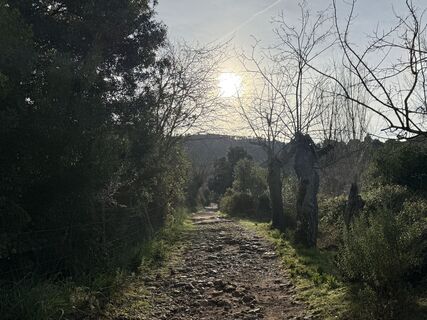 Fotografija s spletne strani Norbert Herbig na poti