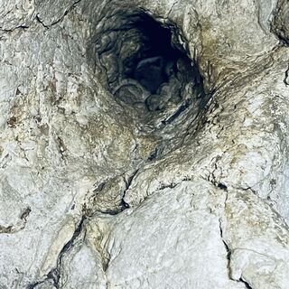 Foto de Bacskai János a lo largo del recorrido