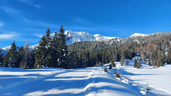 Foto von Matthias Maier entlang der Tour