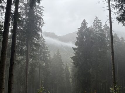 Foto von Kristijan Držaj entlang der Tour