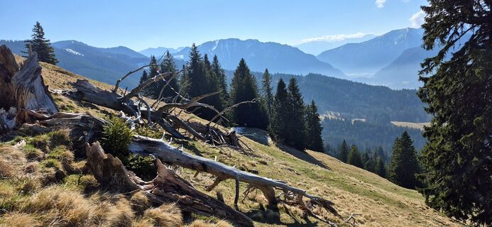 Fotografie z Thomas Schekira na trase