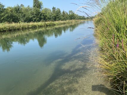 Foto van Sven Krieblin langs de tour