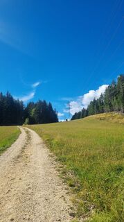 Photo de dsundt le long du parcours