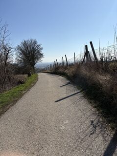 Foto von Wolfgang Feichtinger entlang der Tour