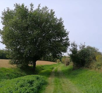 Auf dem Weg