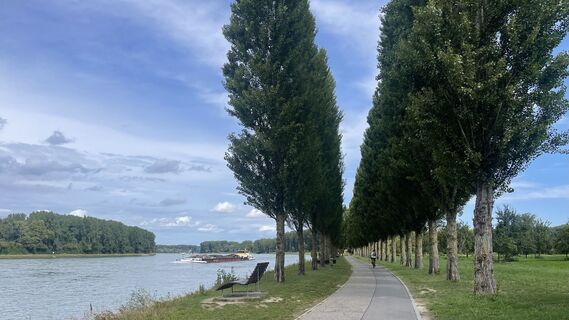 Foto de Lis Malzach a lo largo del recorrido