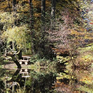 Teich am Kreuzbergl