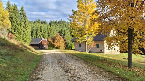 Fotografia z Karl Kriegseisen na trase