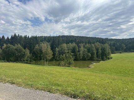 Photo de Manfred Ratz le long du parcours