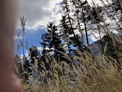 Fotografija s spletne strani Martin Würsch na poti