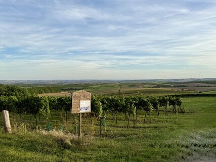 Photo from Barbara Schober along the tour