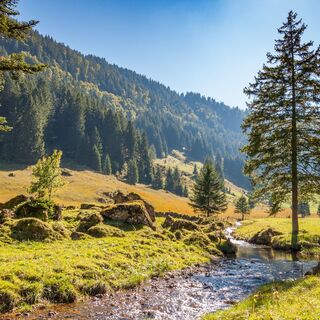 Ijental