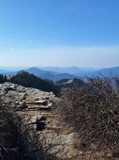 Fotografija s spletne strani Mimi na poti