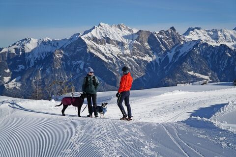 Winterwandern mit Hund am Pizol