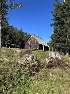 Foto från Carola Krems under resans gång