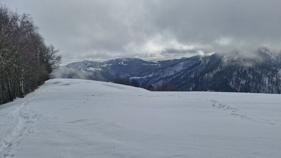 Photo from Štefan Jenko along the tour