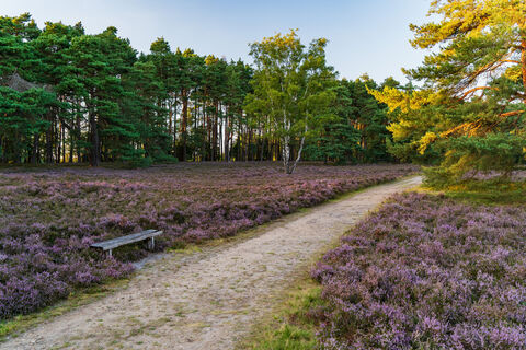 Osterheide