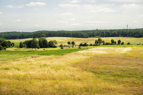 Landschaft der Göhrdeschlacht
