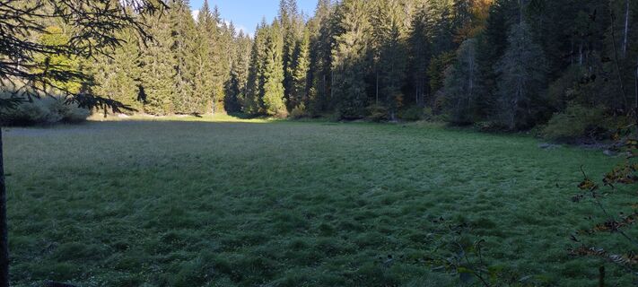 Fotografia z deniuru na trase