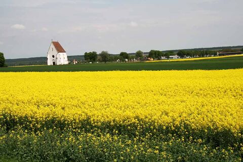 Felder bei der Martinskirche