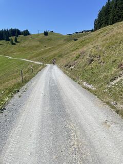 Foto von Willy 11 entlang der Tour