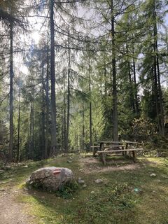 Fotografija s spletne strani Maria Kogler na poti