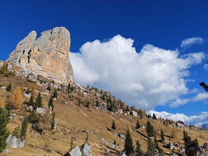 Fotografia z VESNA PETROVIČ na trase