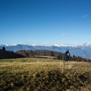 Wiesen bei Malga Campei