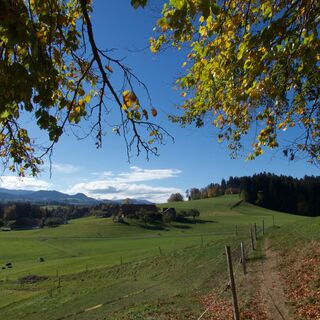 Truellplatz - Schwarzwasser-Sense-Schluchtenweg Etappe 1