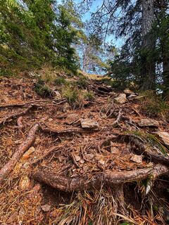 Fotografia z Zsófia Őri na trase
