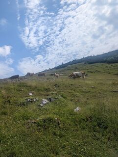 Fotografija s spletne strani SFK na poti