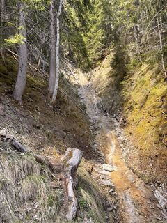 Fotografie z Alexis Sauter na trase