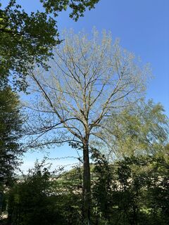 Foto från Brigitte Sagmeister under resans gång