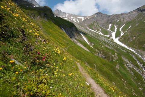 Bettlerweg