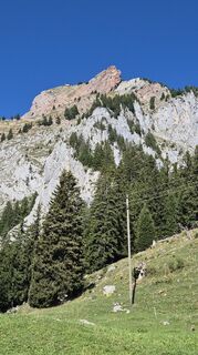 Fotografija s spletne strani Thomi W na poti
