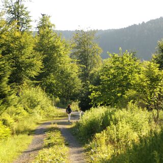Auf dem Weg ins Tal