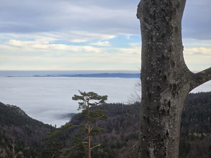 Photo de TwilightTea le long du parcours