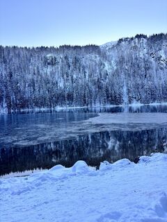 Foto van Viola langs de tour