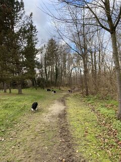 Fotografia z Florian Gerl na trase