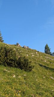 Foto de Thomas Heß a lo largo del recorrido