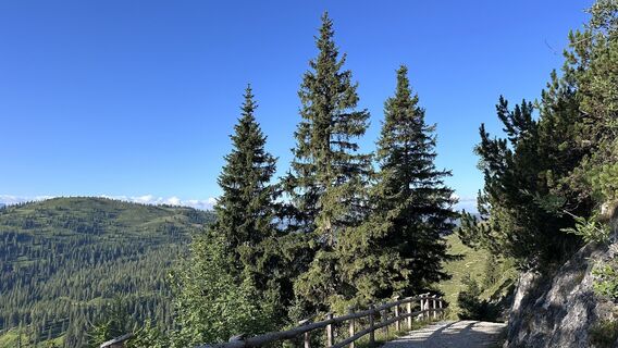 Foto von Mountain Cat ? ⛰️ entlang der Tour