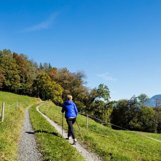 Liechtenstein-Weg zwischen Mauren und Schellenberg